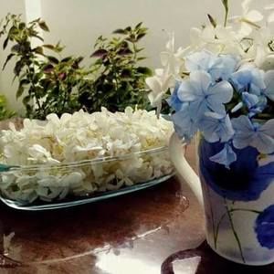 Meet your Posher, Nahla