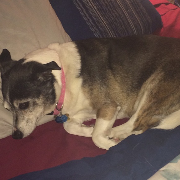 Meet your Posher, Kaitlin