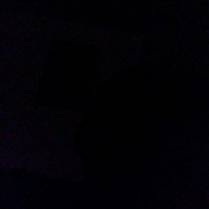 Meet your Posher, Dajea