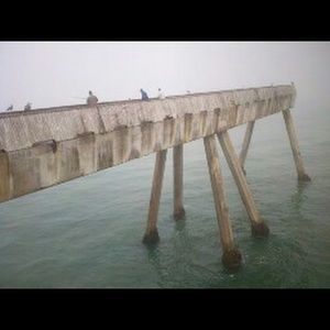 Meet your Posher, Ben