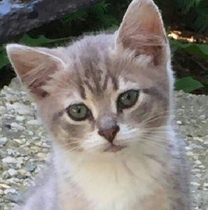 Meet your Posher, Julie