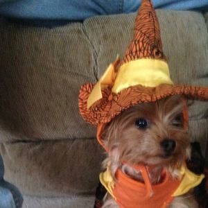 Meet your Posher, Nancy