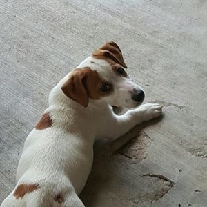 Meet your Posher, Rhea