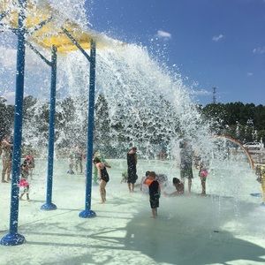 Meet your Posher, Jane