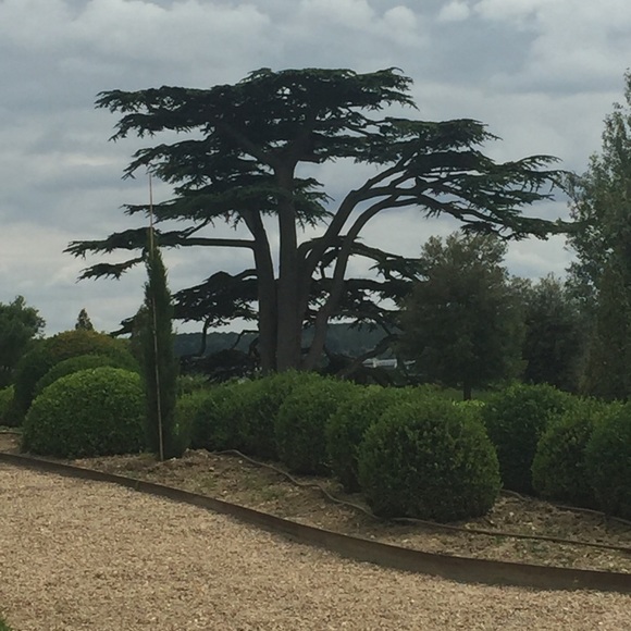 Meet your Posher, JouJou