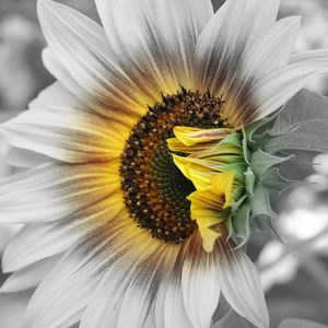 Meet your Posher, Sherry