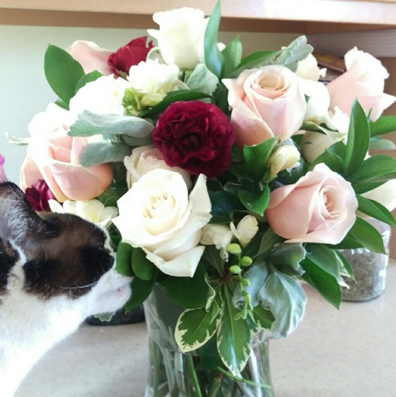 Meet your Posher, Sandi - Picture 2 of 2