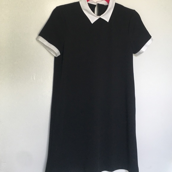 Collared swing dress
