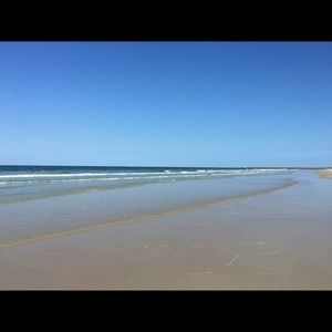 Meet your Posher, Ariela