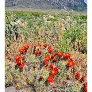 Meet your Posher, Jess