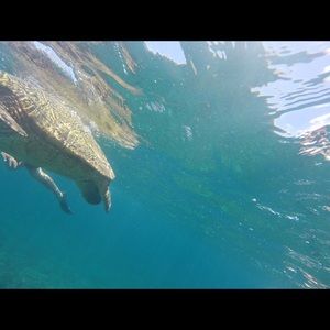 Meet your Posher, Lindsey