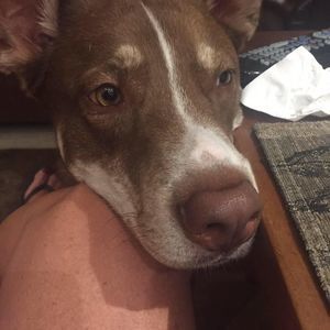 Meet your Posher, Jill