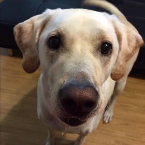 Meet your Posher, Kelley