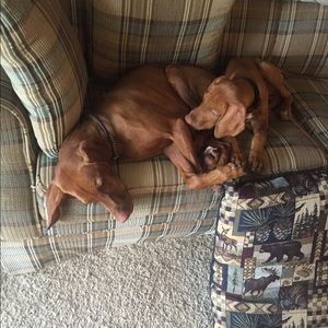 Meet your Posher, Caitlin