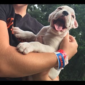 Meet your Posher, Tiana