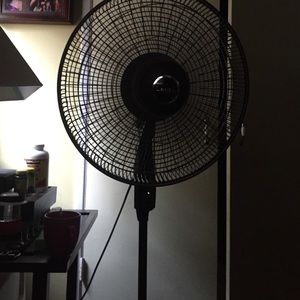 Meet your Posher, Eleanor