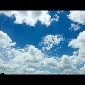 Meet your Posher, Joyce