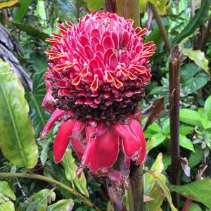 Meet your Posher, Wenonah