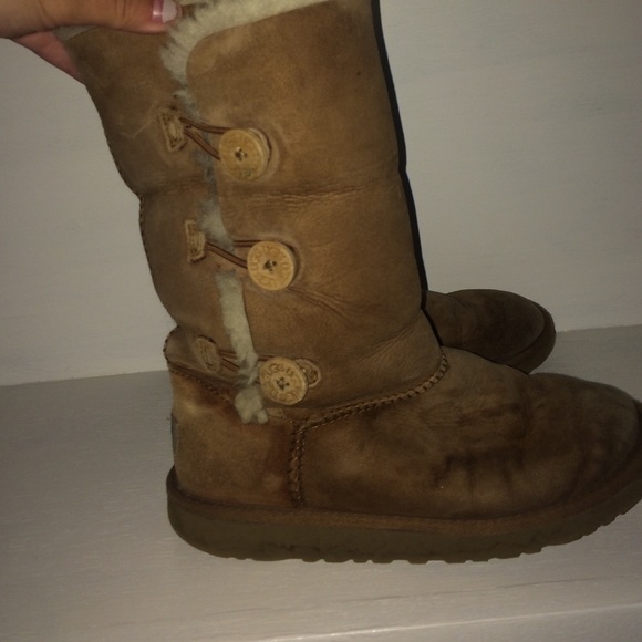 Tall button up chestnut uggs