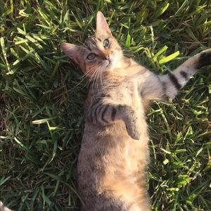 Meet your Posher, Clarissa