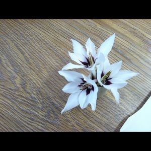 Meet your Posher, Sandra