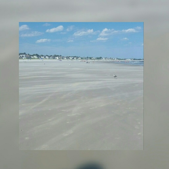 Meet your Posher, Haley - Picture 1 of 1