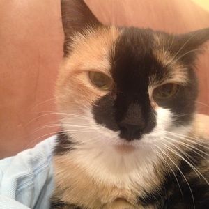 Meet your Posher, Luba