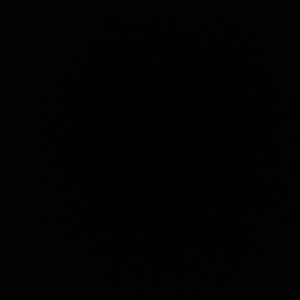 Meet your Posher, Aaliyah