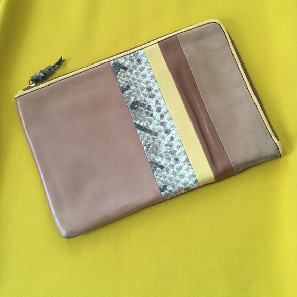 Zara Slim Clutch with Snake Skin