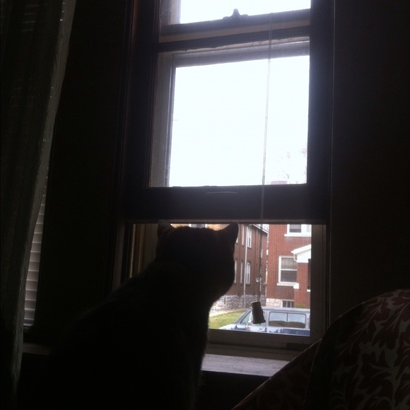 All stuff must go!!!!