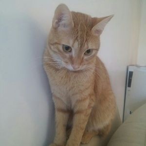 Meet your Posher, Sally