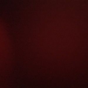 Meet your Posher, Bailey