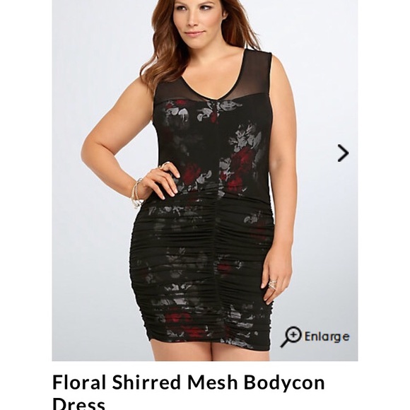 ISO torrid mesh dress