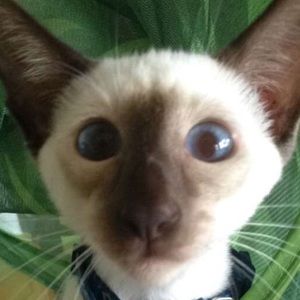 Meet your Posher, Christine