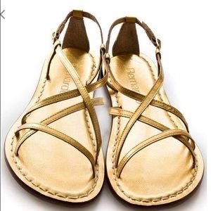 Bernardo Mars Gold gladiator Sandals