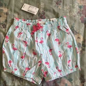NEW toddler Flamingo Bubble Shorts