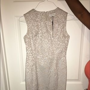 Calvin Klein Dress