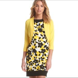 Jessica Howard Floral Framed Dress