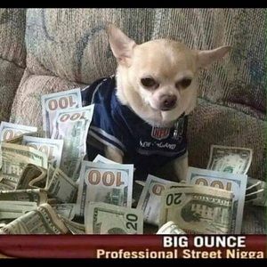 Meet your Posher, Mike