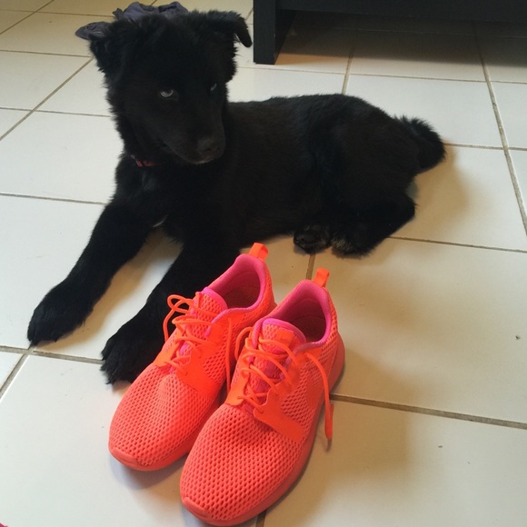 Size 7 Nike Roshe In Orange and Pink