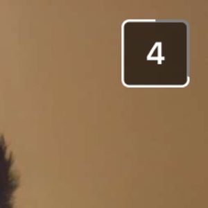 Meet your Posher, Amalia