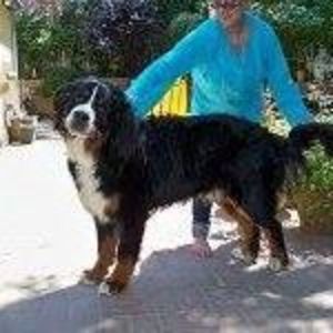 Meet your Posher, Jane