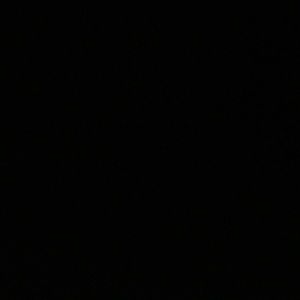 Meet your Posher, Willie