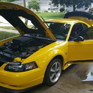 Meet your Posher, Todd