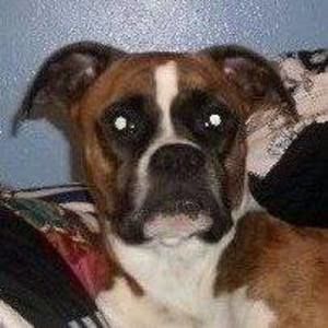 Meet your Posher, Sherri