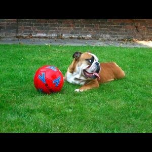 Meet your Posher, Jackie