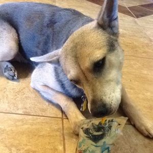 Meet your Posher, Nikole