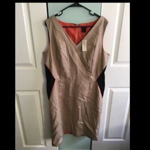 Ann Taylor Plus size dress