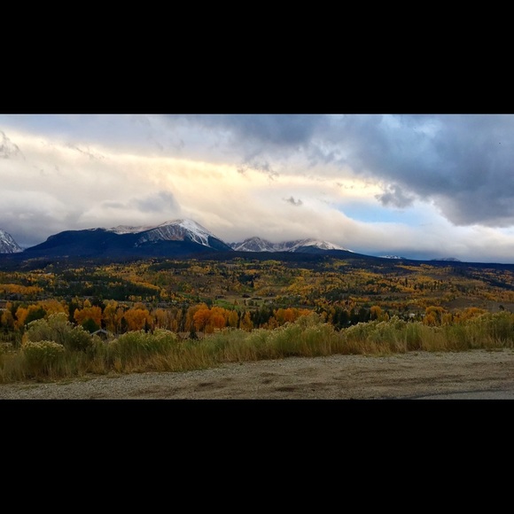 Meet your Posher, Amanda - Picture 4 of 4