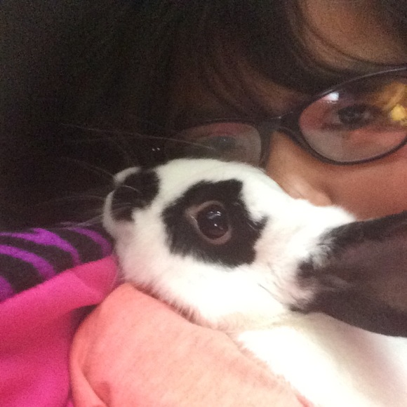 Meet your Posher, Tayler - Picture 1 of 1